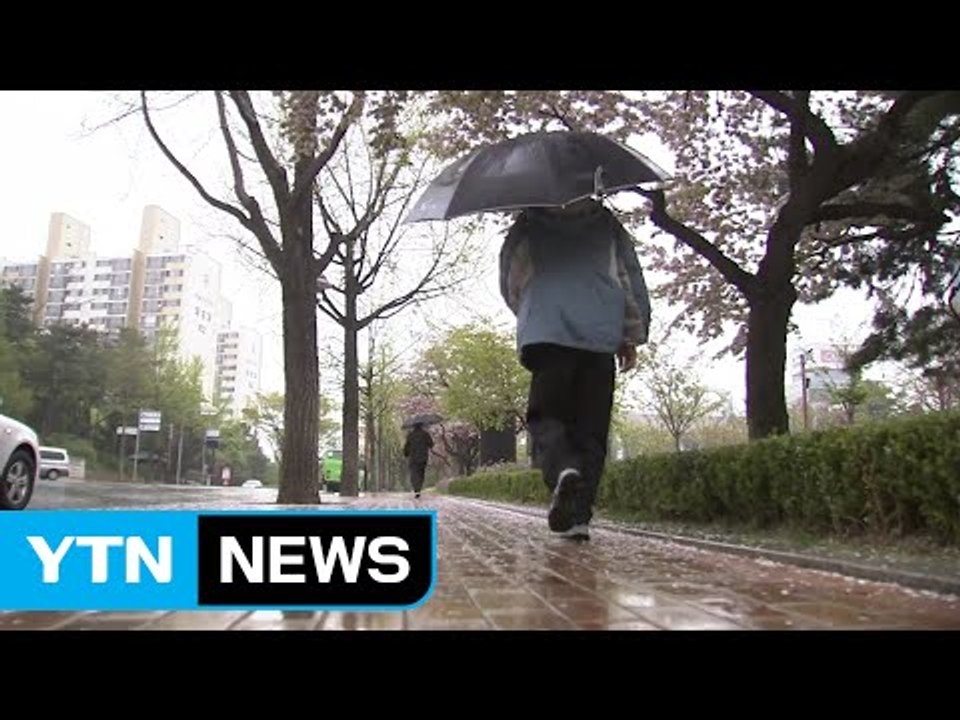 [날씨] 강한 바람 동반한 비...퇴근길에는 그쳐 / YTN