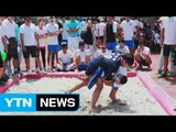 으라차차 씨름 한판!…필리핀 동포 체육대회 / YTN