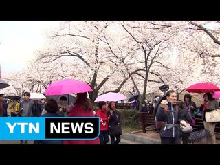 [날씨] 오늘 따뜻하지만, 오후에 곳곳 소나기 / YTN (Yes! Top News)