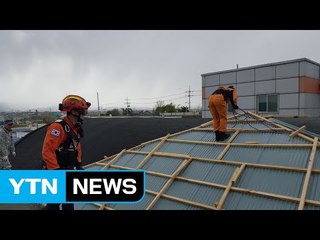 강풍에 철제 지붕 뜯겨 나가고 가로수 쓰러져 / YTN