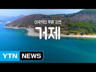 [YTN 구석구석 코리아] 이국적인 푸른 자연, 거제 / YTN