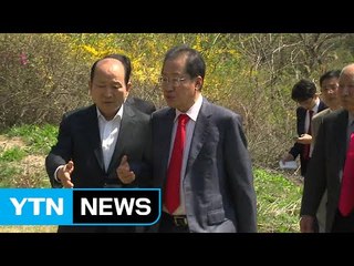 홍준표 "朴 회복 불가...출당은 도리 아냐" / YTN (Yes! Top News)