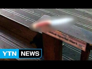 하늘에서 떨어진 칼...도대체 누가? / YTN (Yes! Top News)