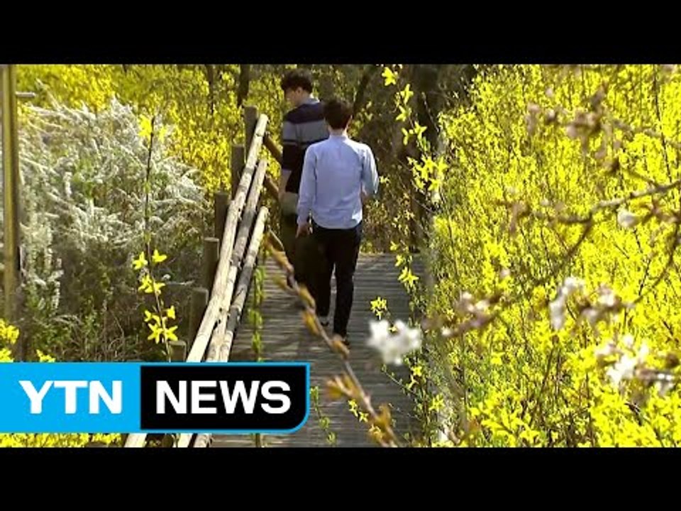 [날씨] 오늘 맑고 선선...서해안에 황사 가능성 / YTN (Yes! Top News)