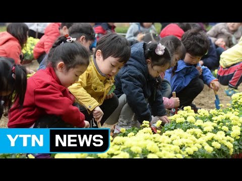[영상] 식목일 세상 적신 봄비 / YTN (Yes! Top News)