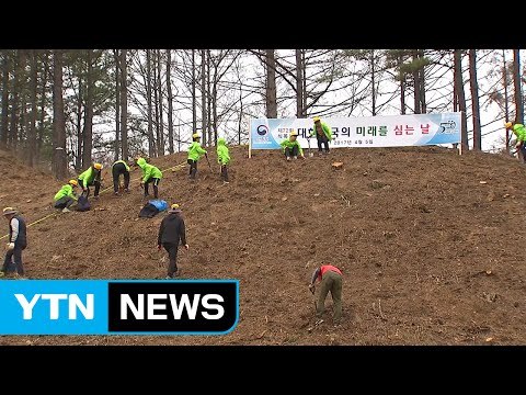 산림청 개청 50주년 식목일...양평서 나무심기 행사 / YTN (Yes! Top News)