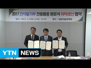 [녹색] 농진청, 가공제품용 쌀 생산 협약 / YTN (Yes! Top News)