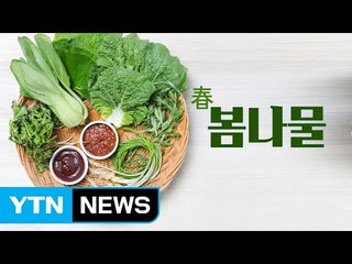 건강 비타민 봄나물에는 독이 있다, 없다? / YTN (Yes! Top News)