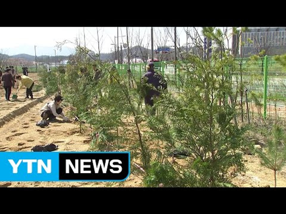 지구 온난화 때문에 '식목일 날짜 변경' 논란 / YTN (Yes! Top News)