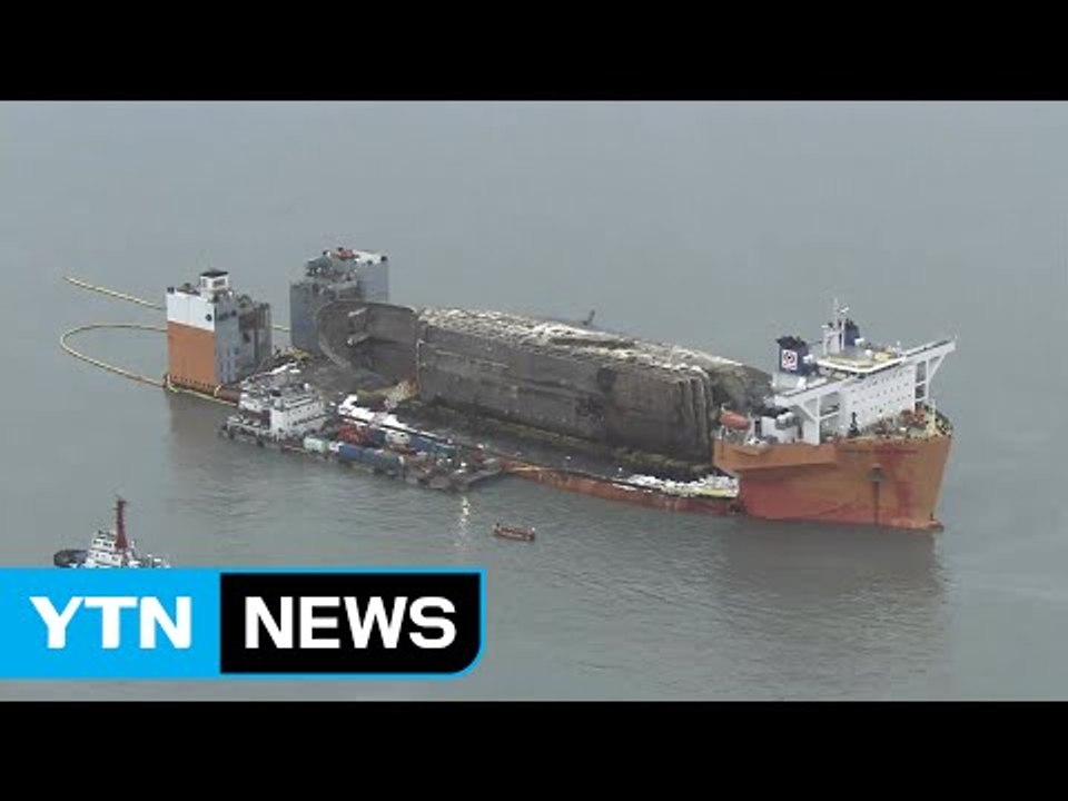 [속보] "세월호에서 발견된 유골 동물 뼈로 확인" / YTN (Yes! Top News)