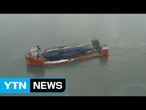 이동 준비작업 중단...선체 이동 지연되나? / YTN (Yes! Top News)