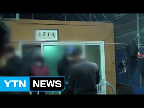 야산 비닐하우스서 도박판 벌인 22명 덜미 / YTN (Yes! Top News)