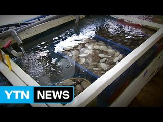 대법원 "활어도 식품...횟집에 운송하려면 신고해야" / YTN (Yes! Top News)