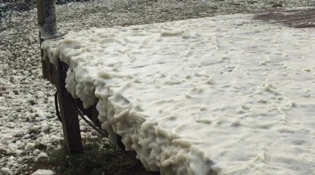 Windy Weather Churns Up Sea Foam 'Snow' Storm