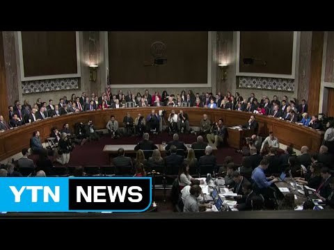 美 의회 中사드보복 규탄 결의안 첫 발의 / YTN (Yes! Top News)