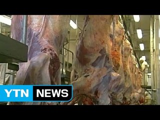 브라질, 부패 고기 불법유통 문제로 발칵...정치권 비리 의혹 / YTN (Yes! Top News)