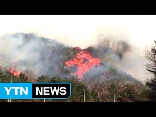 메마른 날씨에 산불 급증...80%가 인재 / YTN (Yes! Top News)
