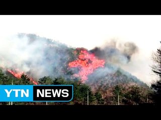 메마른 날씨에 산불 급증...80%가 인재 / YTN (Yes! Top News)