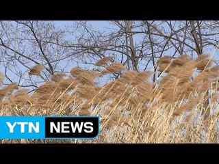 [날씨] 쌀쌀한 퇴근길...내일 일교차·미세먼지↑ / YTN (Yes! Top News)