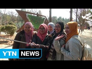 할랄·코란 배려...중국 관광객 빈자리 끄떡없어요 / YTN (Yes! Top News)
