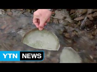 갯벌서 도굴한 고려청자 판매하려 한 일당 덜미 / YTN (Yes! Top News)