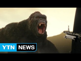 킹콩 vs 고질라...美·日 괴수 스크린 전쟁 / YTN (Yes! Top News)