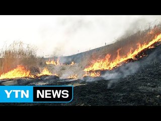 메마른 국토...전국 곳곳 화재 속출 / YTN (Yes! Top News)