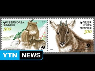 '62만 장이나 팔렸는데' 우표 학명 오류 논란 / YTN (Yes! Top News)