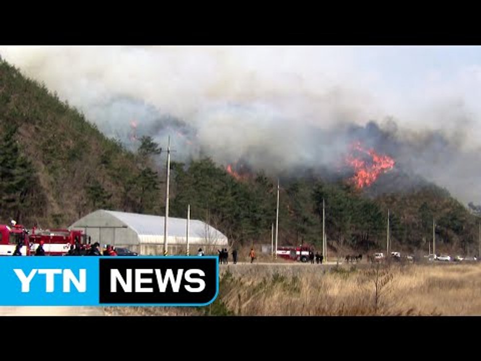 강릉 산불 재발화...야간 진화 난항 / YTN (Yes! Top News)