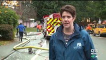 Broken Beaver Dam Floods Washington Neighborhood