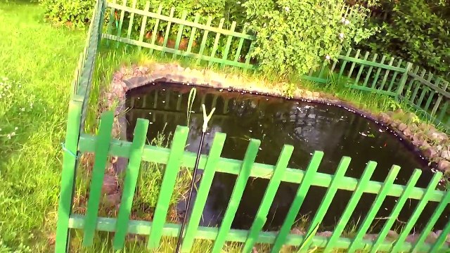 Masha and The Bear funny cartoons Video for Kids entertainment Songs For Children Bad Baby-7WAvqnnT-y8