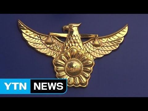 전직 프로야구 투수 '마약 밀반입' 혐의로 구속 / YTN (Yes! Top News)