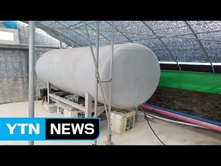 어업용 면세유 수억 원어치 빼돌려 유통 / YTN (Yes! Top News)