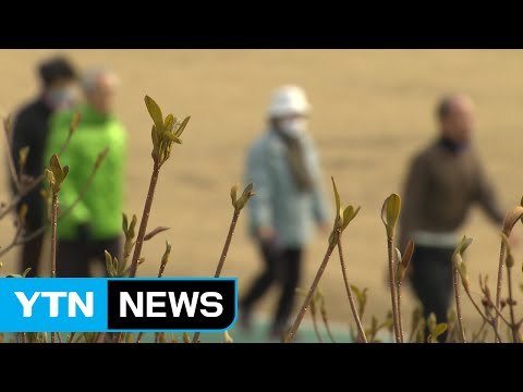 [날씨] 성큼 다가온 봄, 맑고 포근...일교차 주의 / YTN (Yes! Top News)