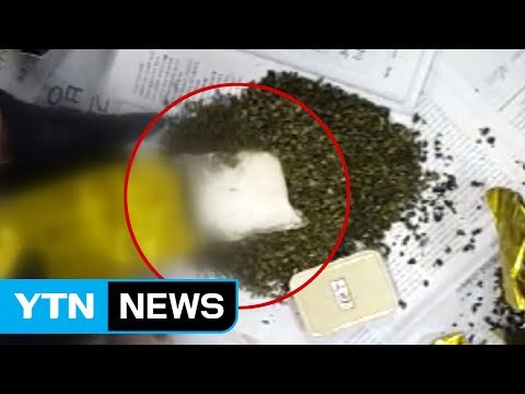 녹차 통에 몰래... 3만 명분 필로폰 밀수 / YTN (Yes! Top News)