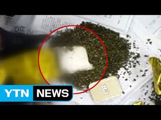 "녹차 통에 몰래..." 3만 명분 필로폰 밀수 / YTN (Yes! Top News)