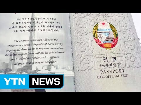 北 용의자 모두 '외교·공무 여권' 소지...커지는 北 배후설 / YTN (Yes! Top News)