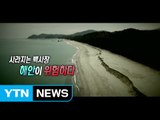 [82회 본방] 사라지는 백사장, 해안이 위험하다 / YTN (Yes! Top News)