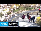 [날씨] 추위 물러나 포근한 주말...올봄 날씨 전망 / YTN (Yes! Top News)