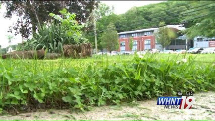 Queen of England Honors Alabama Man Who Created Free Lawn Care Business
