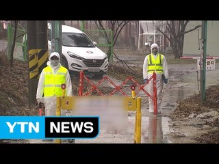 철새 북상 중, 주춤하던 AI 다시 '비상' / YTN (Yes! Top News)