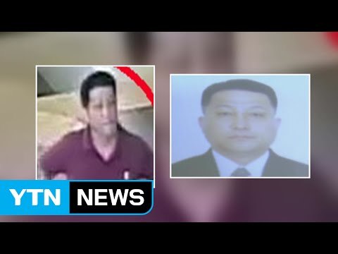 김정남 암살 北 외교관도 연루 / YTN (Yes! Top News)