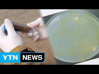 슈퍼박테리아 잡는 토종 미생물 낙동강에서 발견...천연 항균제 새길 / YTN (Yes! Top News)