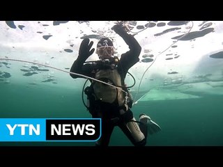 겨울 얼음 속 신비 '아이스 다이빙' / YTN (Yes! Top News)