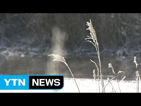 [날씨] 맑고 포근한 늦겨울...미세먼지 점차 옅어져 / YTN (Yes! Top News)