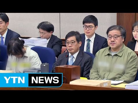 '미르·K재단 설립 의혹' 靑 관계자 첫 소환 / YTN (Yes! Top News)