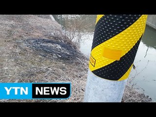 전신주 전선 끊어 훔친 전문털이범 덜미 / YTN (Yes! Top News)
