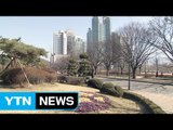 [날씨] 파란 하늘 속 온화한 날씨...미세먼지 옅어져 / YTN (Yes! Top News)