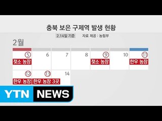 충북 보은서 하루 새 3건 추가...거의 매일 발생 / YTN (Yes! Top News)