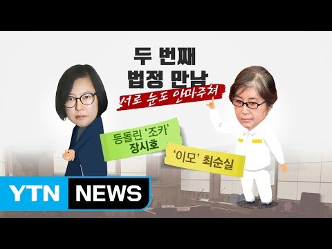 등 돌린 최순실-장시호, 두 번째 법정 만남 '냉랭' / YTN (Yes! Top News)